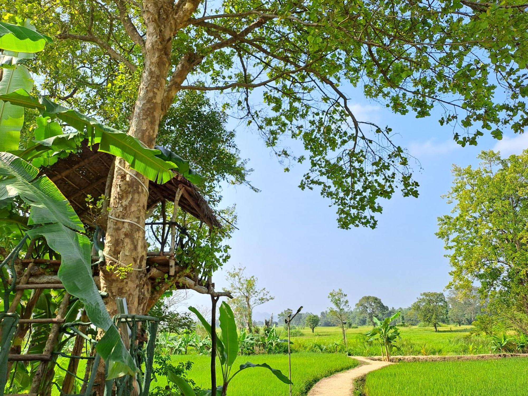 The Nature Park Villa Σιγκιρίγια Εξωτερικό φωτογραφία